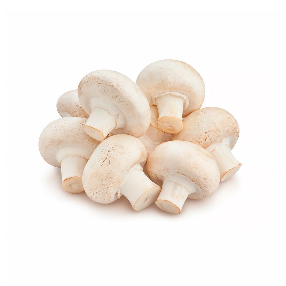 Champignon Frais