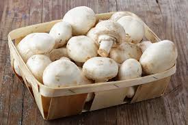 Champignon Frais
